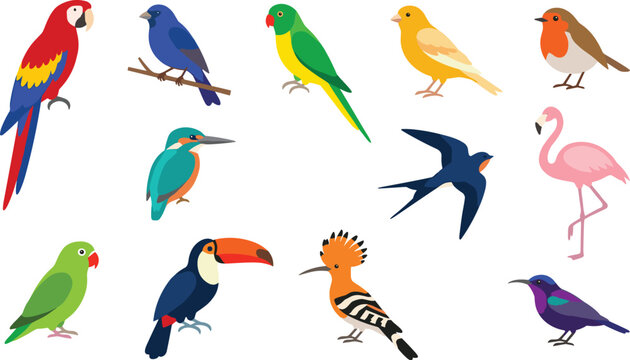 Colorful Tropical and Exotic Birds Vector Icon Collection Featuring Macaw Parrot Toucan Flamingo Kingfisher Canary Swallow Hoopoo for Wildlife Educational Design Elements