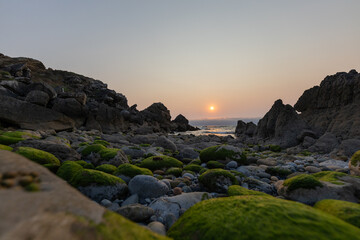 Fototapeta premium Sunset over rocky beach with green moss and smooth stones at low tide