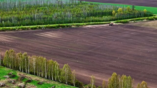 Aerial view of a large, dark, freshly plowed agricultural field bordered by rows of birch trees and green meadows in Riga, Latvia.