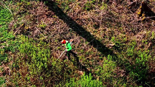 Aerial view of a worker in high-visibility gear using a brush cutter in a forest clearing in Riga, Latvia.