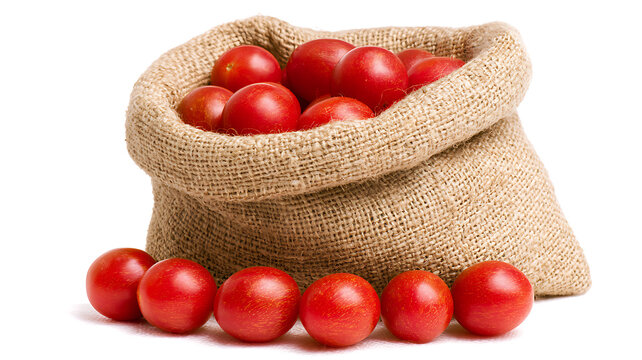 Fresh red cherry tomatoes in a burlap sack isolated on white background