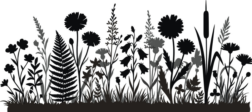 Wildflower meadow border silhouette with grasses blooming plants and botanical garden landscape black vector illustration collection