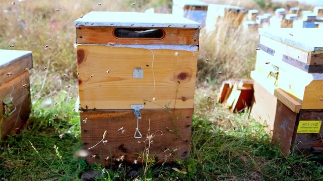 Close-up of a traditional wooden beehive in a rural apiary surrounded by grass. Bees fly around the hive entrance, highlighting sustainable beekeeping and natural honey production.
