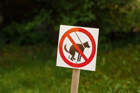No dog waste sign on a wooden post in a public park, reminding pet owners of sanitation rules and environmental cleanliness in the area