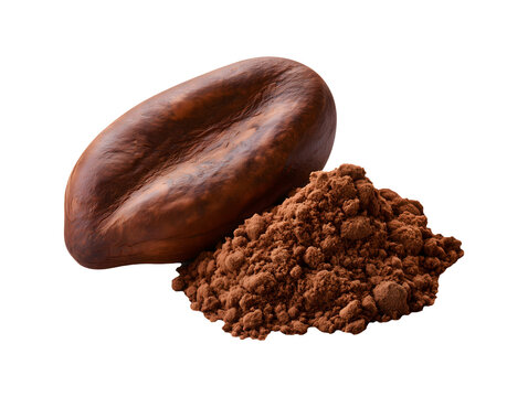 Cocoa bean with cocoa powder heap isolated on transparent or white background, png