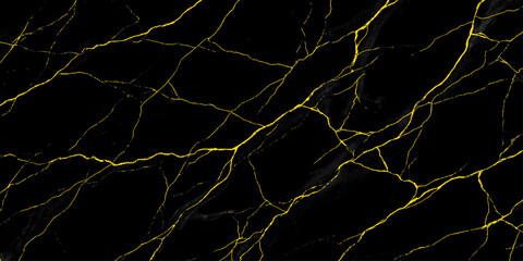 A striking abstract pattern of black marble veined with luxurious gold, offering a sophisticated and modern background with a sense of opulence. © Shehbaz Studio