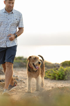 Man and airedale terrier walking together outdoors at sunset