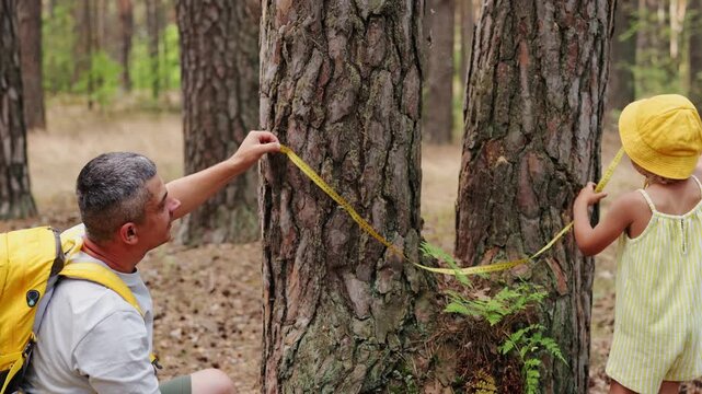 A man and a girl stand together in a forest. They use a tape measure to check the height of a tree while enjoying their time outdoors