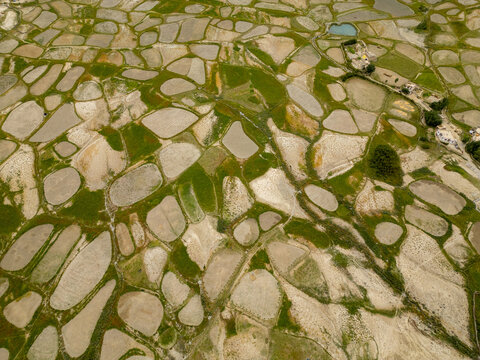 Aerial view of terraced agricultural fields in the Zanskar valley, Zanskar, Ladakh, India.