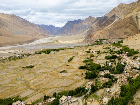 Aerial view of the Zanskar valley featuring traditional village houses nestled among green trees and agricultural fields, surrounded by arid mountain ranges in Zanskar, Ladakh, India.
