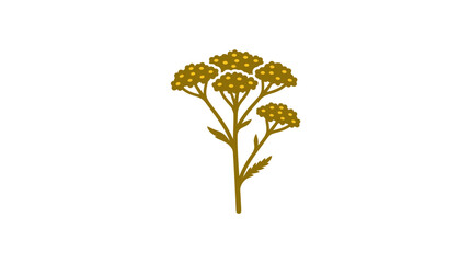 Yellow yarrow flower icon with thin stem. © Seyka
