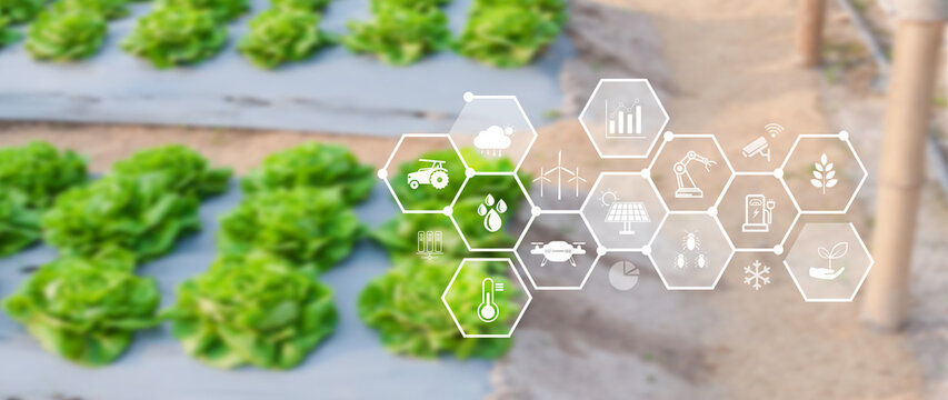 Smart agriculture and agritech concept. Hand using touching digital icons interface of modern farming technology, Agribusiness innovation and smart farming management. not ai