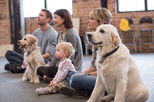 family attending a dog training class