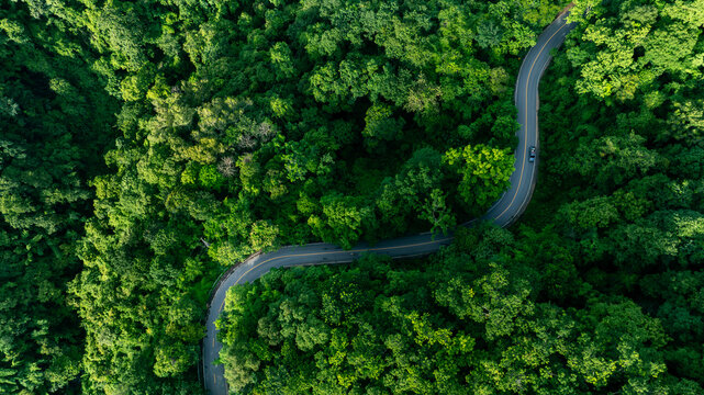 Aerial tropical forest landscape featuring a winding highway, perfect for corporate Sustainability Reports, Green Finance communication, Climate Resilience planning, Renewable Energy investment, and b