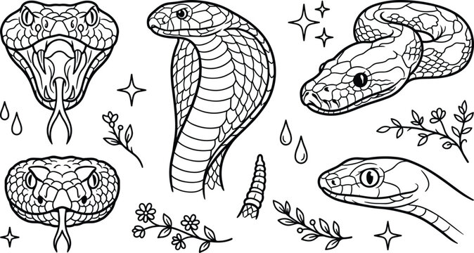Viper Snake Head and King Cobra Vector Set with Rattlesnake Poison Fangs and Botanical Flowers for Tattoo Flashes and Streetwear Apparel Designs
