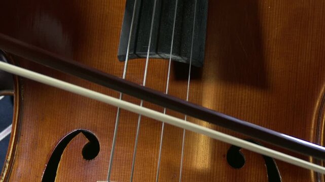 4K Cello and Cellist