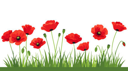 Obraz premium Red Poppy Flowers in Grass