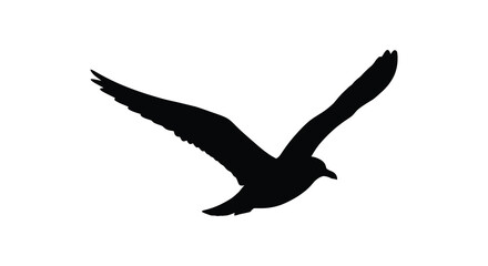 Fototapeta premium Soaring seagull in flight black silhouette against a white background silhouette