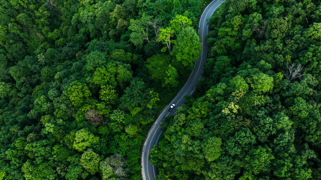 Aerial Forest Road Through Tropical Landscape for ESG Sustainability and Net Zero Strategy