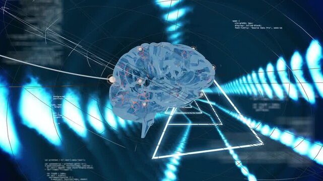 Triangle pulsing brightening translucent brain rotating ahead, nodes pulsing, showing neural data
