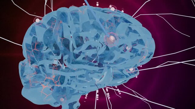 Glowing node pulsing, starting pullback, revealing rotating brain model mapping neural network