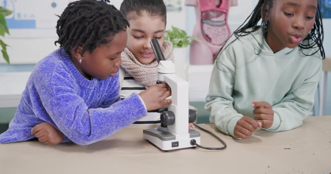 Diverse schoolgirls prompted by seedlings placing slide focusing peering microscope at lab table