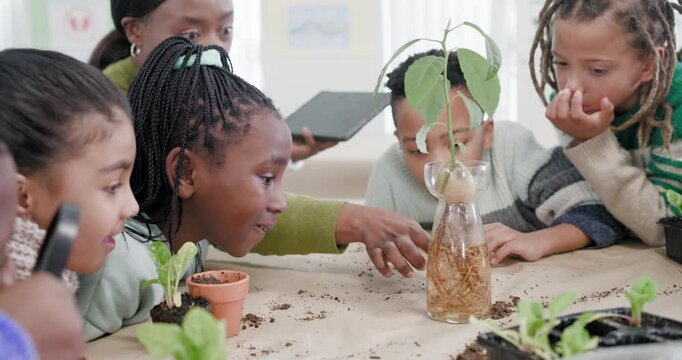 African American teacher in green sweater bringing kids to table, pointing at bottle, seeing roots