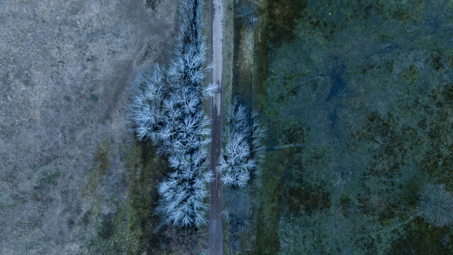 Vista a&eacute;rea de un camino rural bordeado por &aacute;rboles en invierno