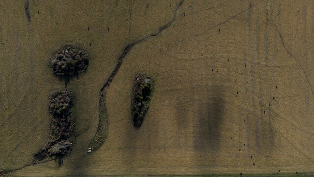 Patrones geom&eacute;tricos y texturas agr&iacute;colas vistos desde un drone sobre campos de cultivo en Argentina
