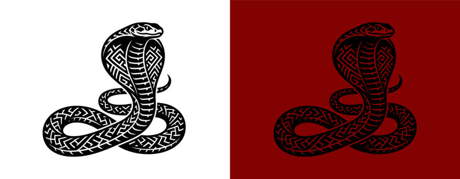 A detailed black and white line art illustration of a coiled cobra snake.