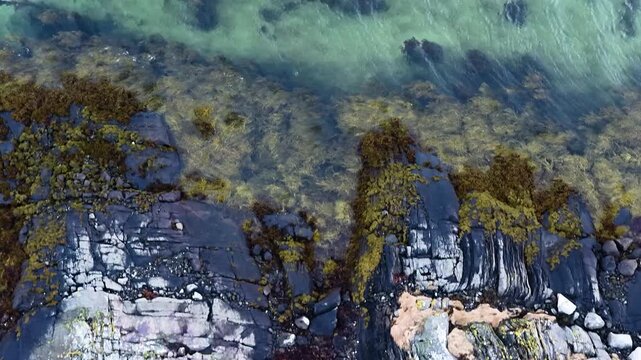 Norway Vega Island Vegafjorden Holand Nord&oslash;ya Stor&oslash;ya Gards&oslash;ya Stokkv&aelig;ret Holandsosen Nature Reserve 4K Aerial Drone