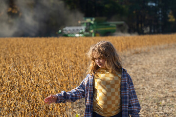 Obraz premium Child in a wheat field. Little farmer at work. Kid at rural countryside. Kid on a farm. Carefree childhood outdoors. Kid walking in golden wheat. Kid in the meadow. Harvest season fun. Child on