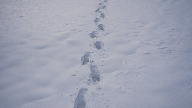 Snow-covered trail for walking. Winter footpath. Snowy steps along snow field. Footprints on snow-covered ground. Winter trail. Footstep in snow outdoors.