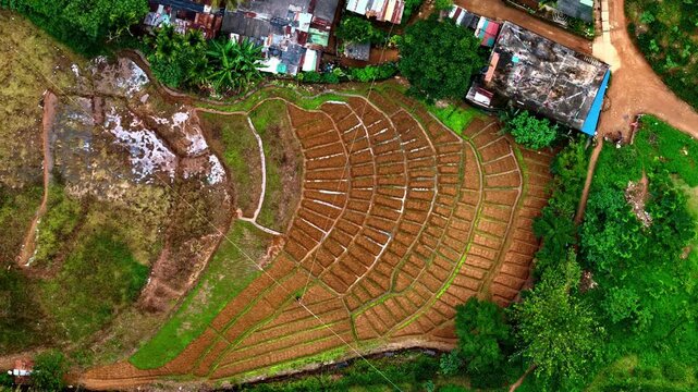 Aerial view of terraced fields with lush green vegetation and brown soil patterns in Sri Lanka.