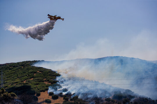 Firefighting Aircraft Attacking Derveni Wildfire Amid Extreme Heat and Drought