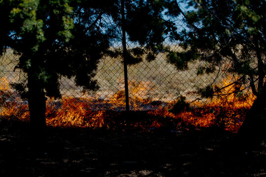 Ground Fire Burning Through Dry Vegetation in Derveni During Severe Drought