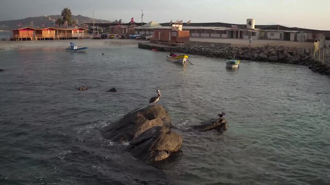 video coquimbo_aerea_alta_43