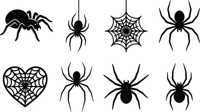 Halloween spider vector illustration set with jack o lantern