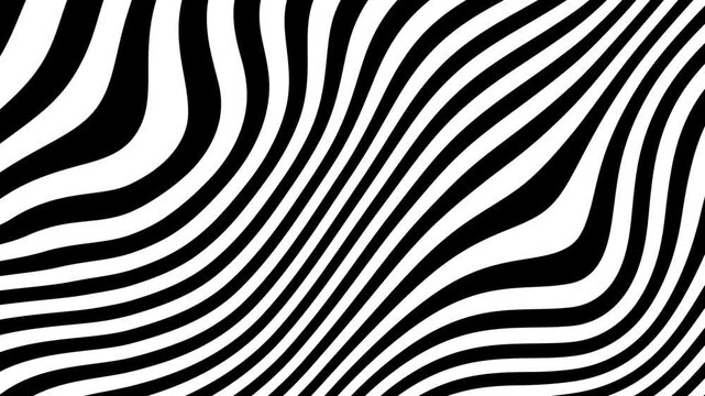 Hypnotic black and white moving waves animation, abstract optical art motion background