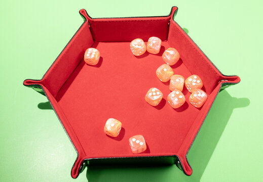 Polyhedral dice in dice tray