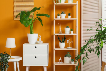 Modern home interior with various potted plants, white furniture, and a wooden shelf against an orange wall © Pixel-Shot