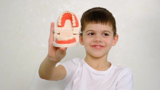 A child at the dentist with a model of a jaw. Selective focus.