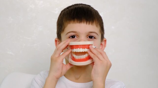 A child at the dentist with a model of a jaw. Selective focus.
