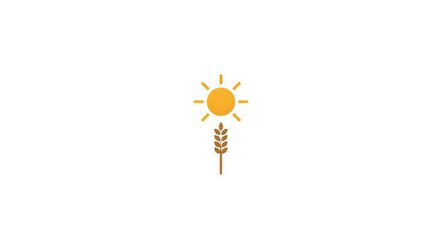 Minimalist wheat ear and sun icon on white background, golden grain stalk symbol for organic farming, simple agricultural logo design