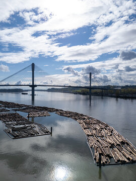Port Mann Bridge Cable-Stayed Span Over Fraser River With Log Booms Near Port Coquitlam Vancouver