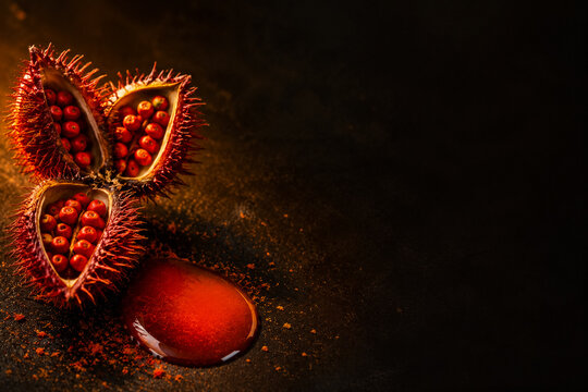 Annatto Bixa Orellana Seed Pods Split Open Showing Red Orange Seeds with Natural Dye Extract on Dark Background, Natural Pigment and Botanical Dye Concept with Copy Space
