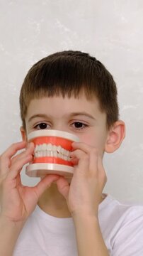 A child at the dentist with a model of a jaw. Selective focus.