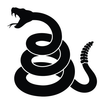 Black venomous rattlesnake coiled in alert position isolated on white background as vector