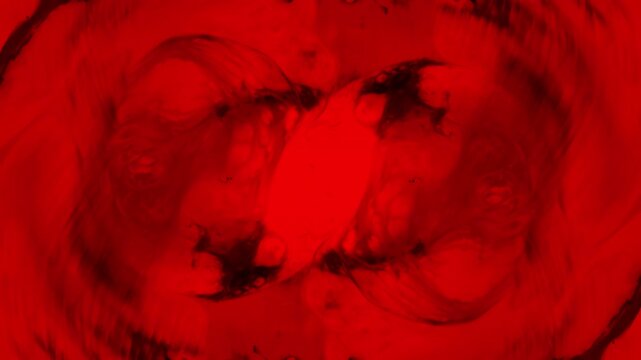 red cosmic acid psychedelic abstract background swirl wave morphing Intro overlay vj template mist flow
