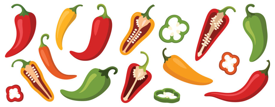 Chili pepper vector set with colorful hot peppers, sliced vegetables and spicy food